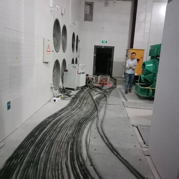 10KV高壓假負(fù)載租賃